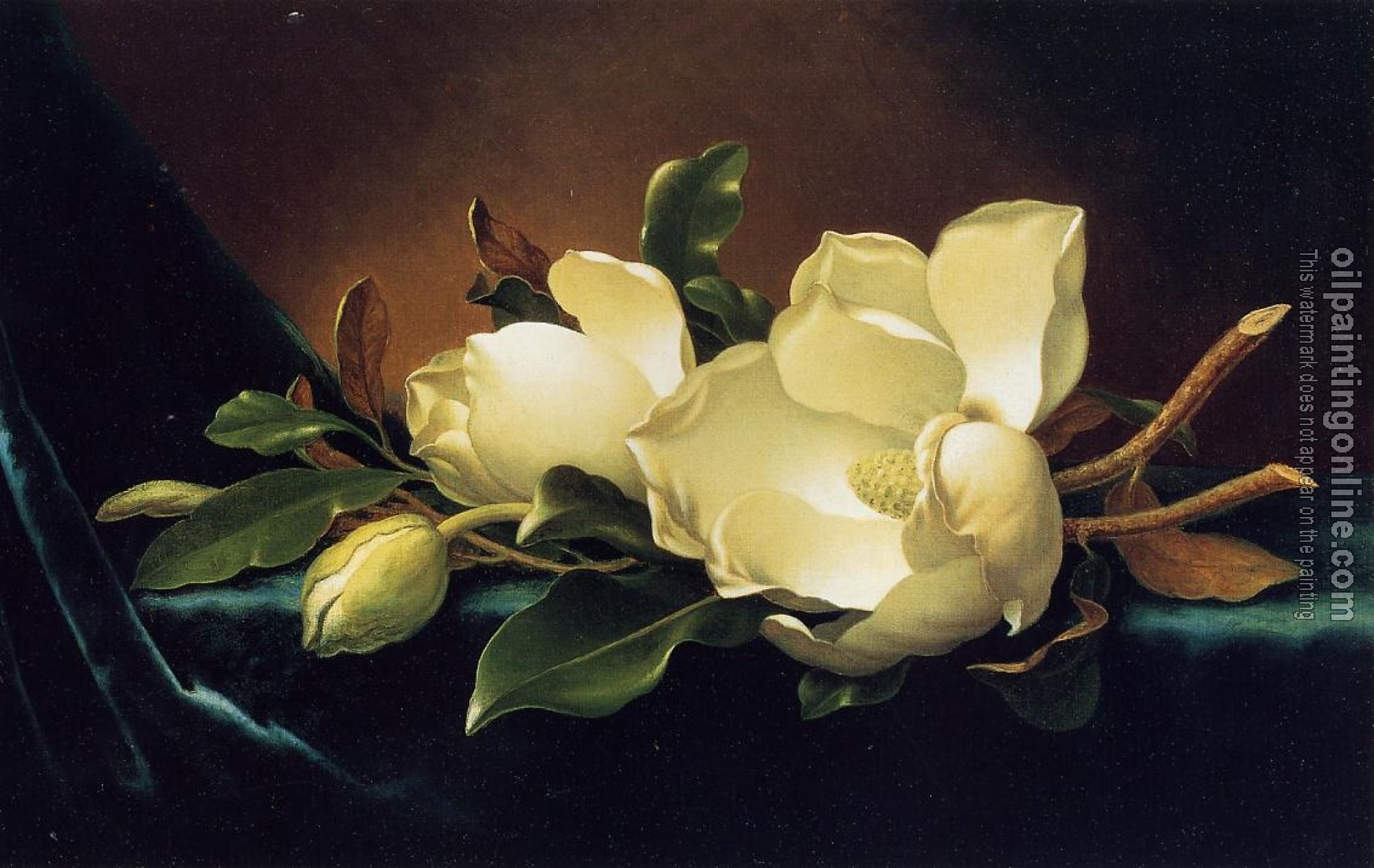 Heade, Martin Johnson - Two Magnolias and a Bud on Teal Velvet